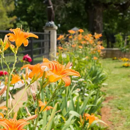 Lovely House Lindi In * 波雷奇